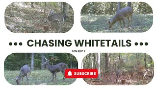 Chasing Whitetails SZN 2EP 2 [upl. by Ocsisnarf]