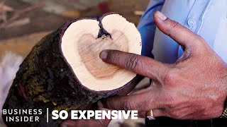 Why Sandalwood Is So Expensive  So Expensive [upl. by Ahsetal248]