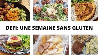 10 IDEES REPAS  Sans gluten Vegan et Riche en Protéines [upl. by Adnalahs]