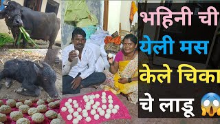 मैंशीच्या पहिल्या चिकाचे केले बाध लाडू गोड😱😱 vlog manishahajare [upl. by Ruperta49]