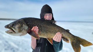 4 Days Fishing amp Camping in Alaska  Lake Trout Catch amp Cook Catching Every Fish in Alaska [upl. by Nera]