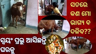 ସ୍ଵୟଂ ପ୍ରଭୁ ଆସିଛନ୍ତି ଘରକୁସତରେ କଣ ମୋ ଭାଗ୍ୟ ବଦଳିବsgayatri vlog [upl. by Ennovehc966]