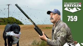 Fieldsports Britain – Decoying without decoys [upl. by Olfe209]