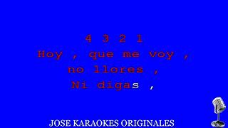 FUERON TUS PALABRAS LOS TEMERARIOS KARAOKE DEMO [upl. by Alva]