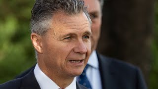 Matt Thistlethwaite defends calls for ceasefire in Gaza [upl. by Yssirk]