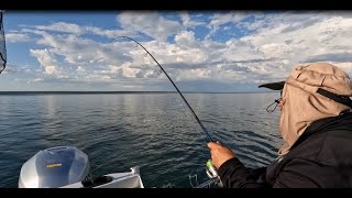 FISHING CORINELLA ON WESTERN PORT [upl. by Byran]