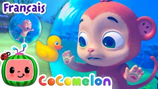 La chanson de la natation  Chansons pour Bébés  CoComelon Le coin des Animaux de JJ  Comptines [upl. by Netfa]