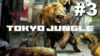 Tokyo Jungle Walkthrough  Part 3  Death  GameplayCommentary PS3 [upl. by Atteiluj]