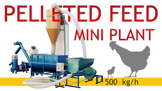 Feed pelletising line for 🐔 chickens 500 kgh [upl. by Adnolay287]