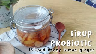 Cara Membuat Minuman Probiotik Sirup Probiotic  Infused Honey Lemon Ginger [upl. by Oinotna849]