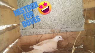 Doves ko nestbox laga dia🏠🕊🕊 [upl. by Weaks]