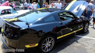 quotUltraRare 50 Mustangquot  Hertz Penske GT 1 of 10 Limited Edition 6speed [upl. by Buerger]