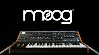 Moog Subsequent 37 Analog Synthesizer  Gear4music demo [upl. by Monika]