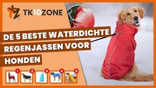 De 5 beste waterdichte regenjassen voor honden [upl. by Moonier812]