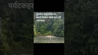 Tiger with his pray in Chitwan National Park [upl. by Bina]