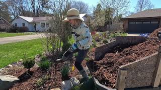 Mulching in the Front Long Border with Drone Views 👨‍🌾🏡🌸 Suburban Oasis [upl. by Anaid]