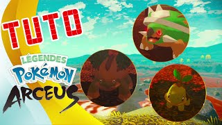 Tortipouss Boskara et Torterra Baron  Tuto Legends Arceus EP15 [upl. by Celik146]