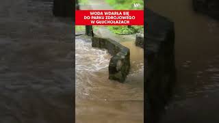 Woda wdarła się do Parku Zdrojowego w Głuchołazach [upl. by Nivrem546]