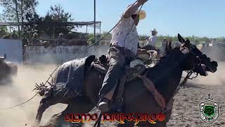 LOS ATREVIDOS DE SAN JUAN Vs 1er TORO EN LOS TOCAYOS DE STOCKTON CA 42824 [upl. by Kirkwood788]