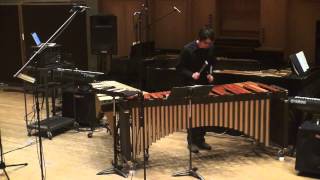 Steve Reich Electric Counterpoint [upl. by Simdars]