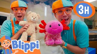 Blippi BUILDS A Bear BEST FRIEND  More  Blippi and Meekah Best Friend Adventures [upl. by Graeme]