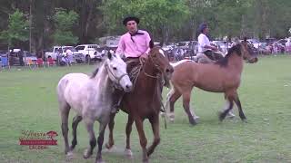 4° Campeonato Del Sur Pampeano quot 34° Fiesta D La Tierra del Caldén quot [upl. by Osnola]