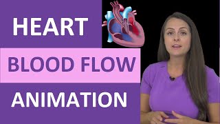 Heart Blood Flow Animation  Heart Anatomy Made Easy for Nursing School [upl. by Thynne]