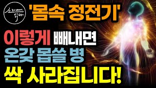 뇌와 몸을 망가뜨리는 무서운 체내 정전기의 비밀  이렇게 빼내세요 몸속 활성산소 성인병 싹 사라집니다  7가지 생활수칙  책읽어주는여자 SODAs 건강 오디오북 [upl. by Bordie]