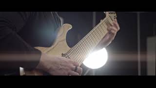 Animals As Leaders  Tempting time Cover Endvade [upl. by Dihgirb831]