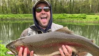 Fly Fishing At Rockbourne Trout Fishery May 2021 Another Hard Fighting Clonker [upl. by Carlo]