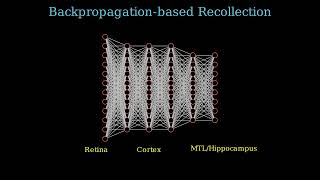 Backpropagationbased recollection a new theory to explain memory reconstruction [upl. by Annauqaj655]