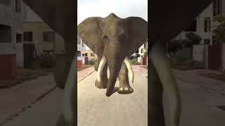 Madina or papa ke piche pad gaya elephant😯 funny comedy cutebaby 🥰🥰 [upl. by Krauss]