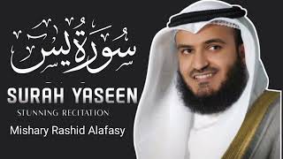 Surah Yasin Yaseen  By Mishary Rashid AlAfasy  Full With Arabic Text HD  36سورۃ یس [upl. by Ellevehc670]