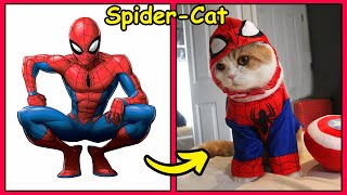 Superheroes In Real Life As Cats 💥 All Heroes 2022 [upl. by Aicul878]