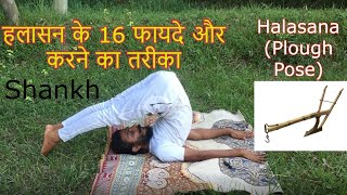 Halasana  Halasana ka fayde  halasana kaise karte hain  halasana for beginners by Shankh Yoga [upl. by Huberman232]