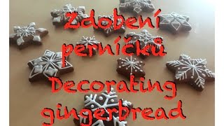 ZDOBENÍ PERNÍKŮ  jak na to  DECORATING GINGERBREAD [upl. by Nivlen]