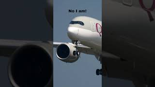 Who is better looking shorts funny question airplane aviation [upl. by Tyree]