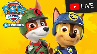 Mighty Pups and Cat Pack stop a rocket and more  PAW Patrol  Cartoons for Kids Compilation [upl. by Dibrin]