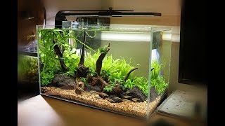 NonCo2 Aquascape Setup  Waterbox Clear 10 [upl. by Gregorius]