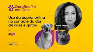 OurofinoPet em Cast  Episódio 69  Uso da buprenorfina no controle da dor de cães e gatos [upl. by Aerdno]