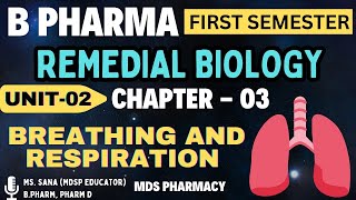 Breathing and Respiration  Remedial Biology  B Pharma First Semester remedialbiology bpharma [upl. by Talley428]