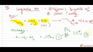 Carbylamine test is performed in alcoholic KOH by heating a mixture of [upl. by Zasuwa]