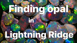 Where to find opal in Lightning Ridge [upl. by Albion]