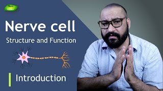 Neuron  Structure and Function of Nerve cell  Nervous System Crash Course  Basic Science Series [upl. by Downes718]