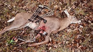 Last day of archery buck harvest 11152024 [upl. by Tremayne]