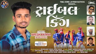 Tribel King  Jayesh Rathva  New Aadivasi Timli 2023  Vinayak Studio Vadodara [upl. by Enaed]