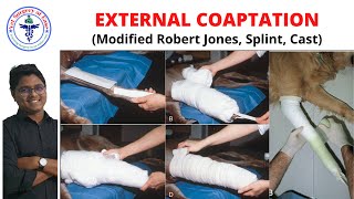 External Coaptation  Lecture 06  Orthopedics [upl. by Sathrum]