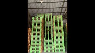 Pembuatan Pallet dari PT Trinaga Internusa [upl. by Annovy]