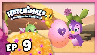 Hatchimals  Episode 3  The Hatch Match  TEAM HATCH YouTube Series [upl. by Margette]