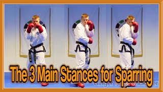 Taekwondo Sparring  The 3 Main Stances  GNT Martial Arts [upl. by Seidule]